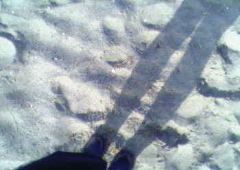 20090403_458074